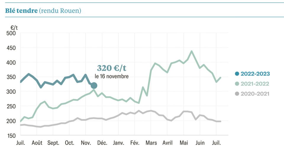 En France, le prix du blé à la limite du seuil de rentabilité Le