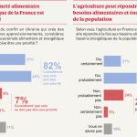 Les Français plutôt favorables à la dérogation sur les néonicotinoïdes