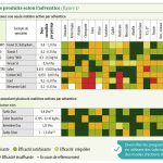 Comment adapter son programme contre les adventices dicotylédones ?