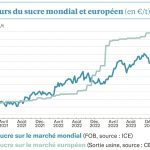 Un marché bien fébrile