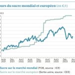 Sucre : Les spéculateurs sont bien les seuls à hésiter