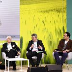 Jaunisse : Agriodor espère commercialiser son répulsif de pucerons en 2025