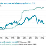 Le marché mondial se cherche