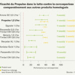 Propulse, un nouveau fongicide contre la cercosporiose