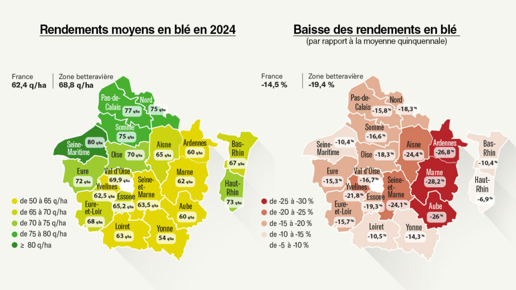 Forêts domaniales : on va prélever davantage