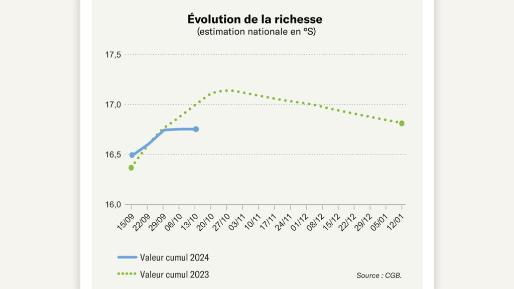 Tout savoir la maladie de Lyme