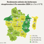 Le rendement national tend vers 79 tonnes/hectare