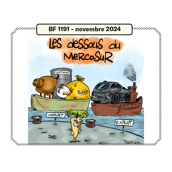 L’année 2024, sous le regard de Djony