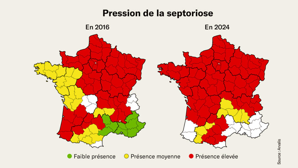 Sept chiens de chasse dans le top 20 des acquisitions