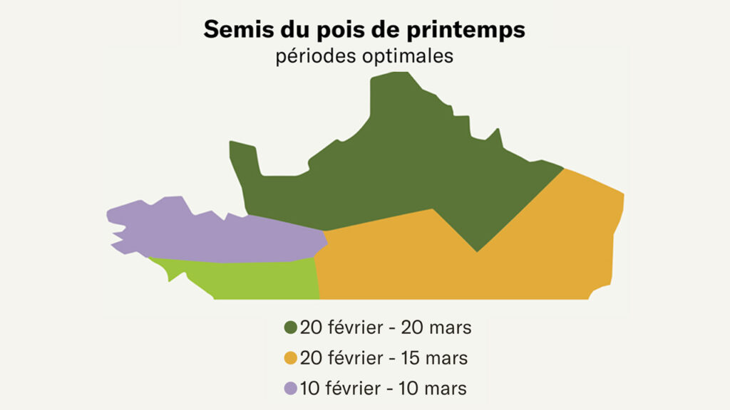 Sept chiens de chasse dans le top 20 des acquisitions